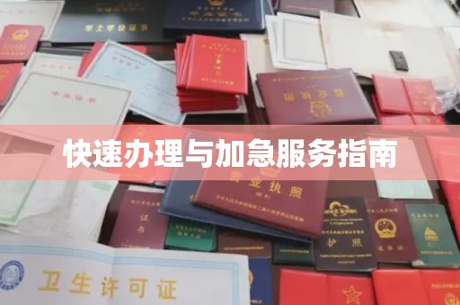 金溪快速办理与加急服务指南