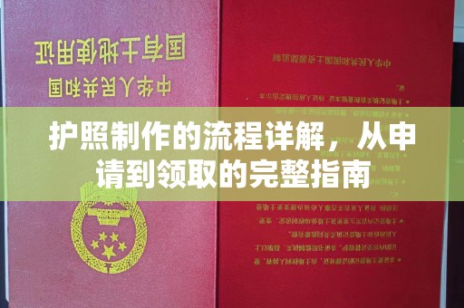 金溪护照制作的流程详解，从申请到领取的完整指南