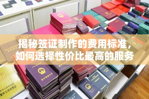 金溪揭秘签证制作的费用标准，如何选择性价比最高的服务？