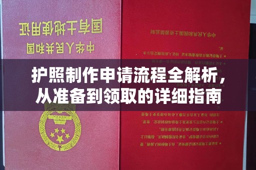 金溪护照制作申请流程全解析，从准备到领取的详细指南