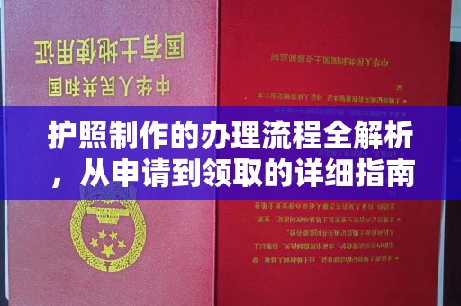 金溪护照制作的办理流程全解析，从申请到领取的详细指南
