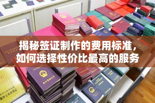 金溪揭秘签证制作的费用标准，如何选择性价比最高的服务？