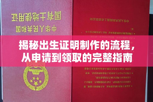 金溪揭秘出生证明制作的流程，从申请到领取的完整指南