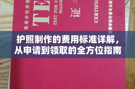 金溪护照制作的费用标准详解，从申请到领取的全方位指南
