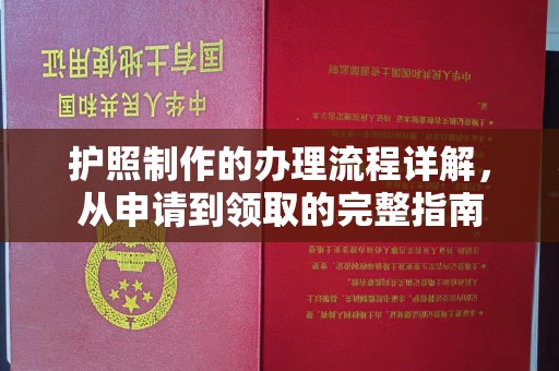 金溪护照制作的办理流程详解，从申请到领取的完整指南