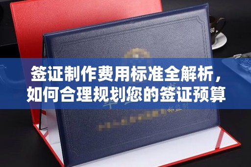 金溪签证制作费用标准全解析，如何合理规划您的签证预算？