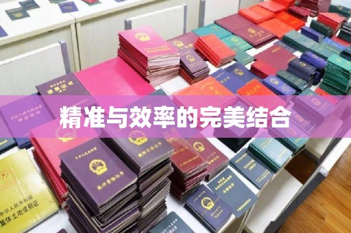 金溪精准与效率的完美结合